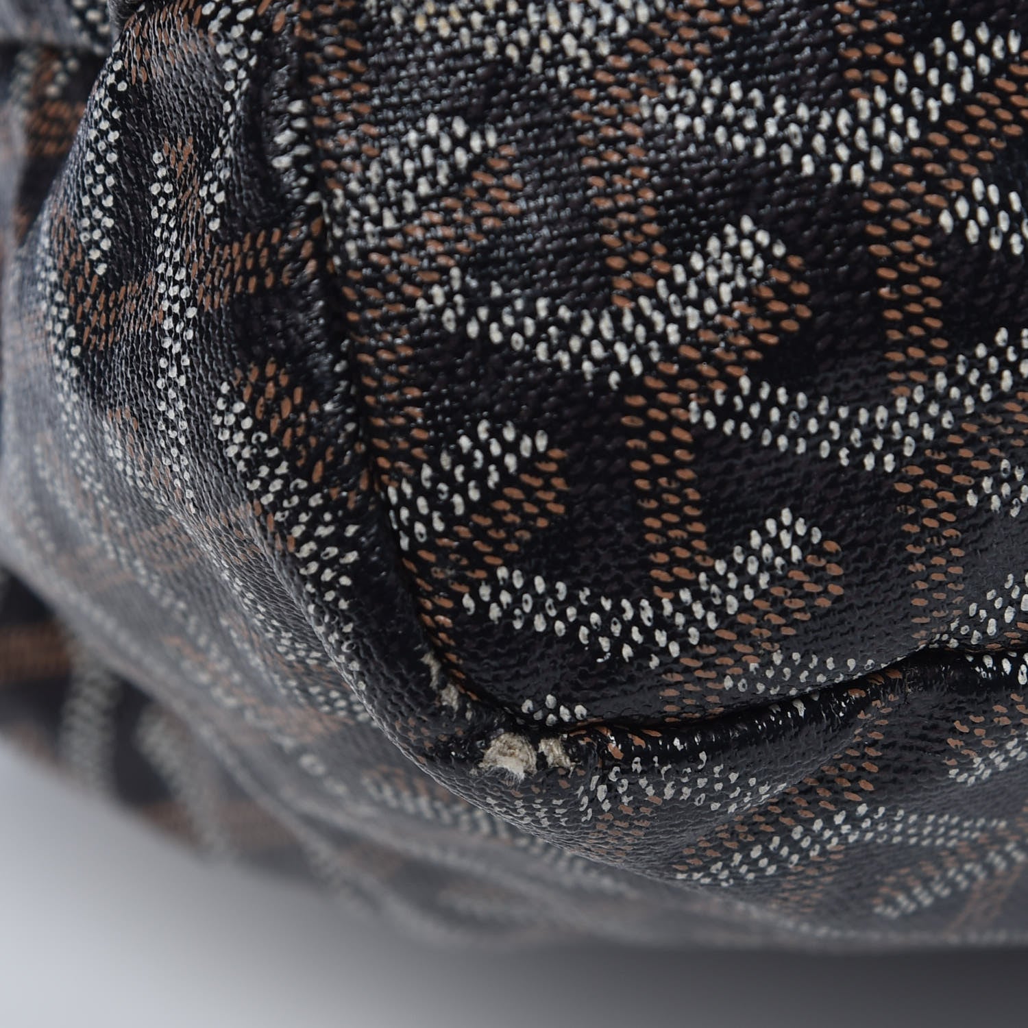 Goyard Goyardine Fidji Zip Hobo Black 16 of 19