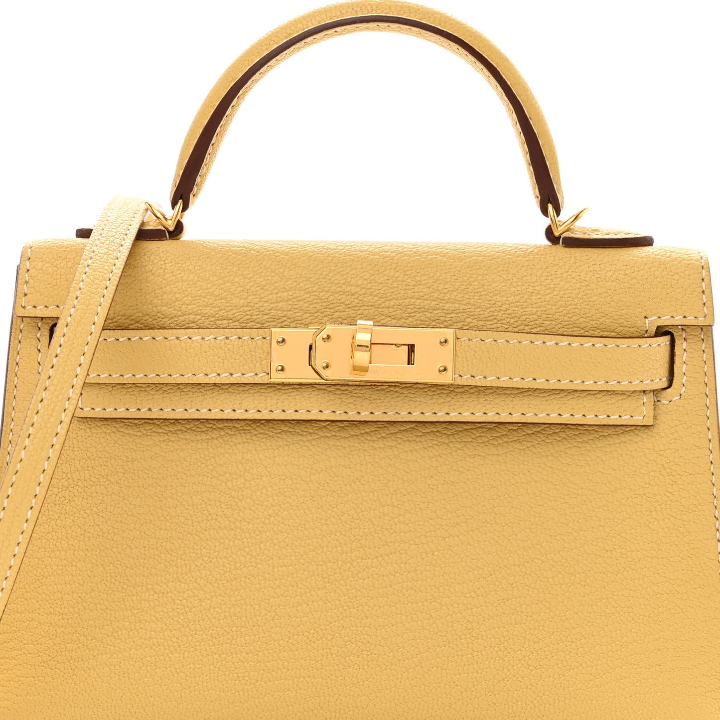 Chevre Mysore Mini Kelly Sellier 20 Foin