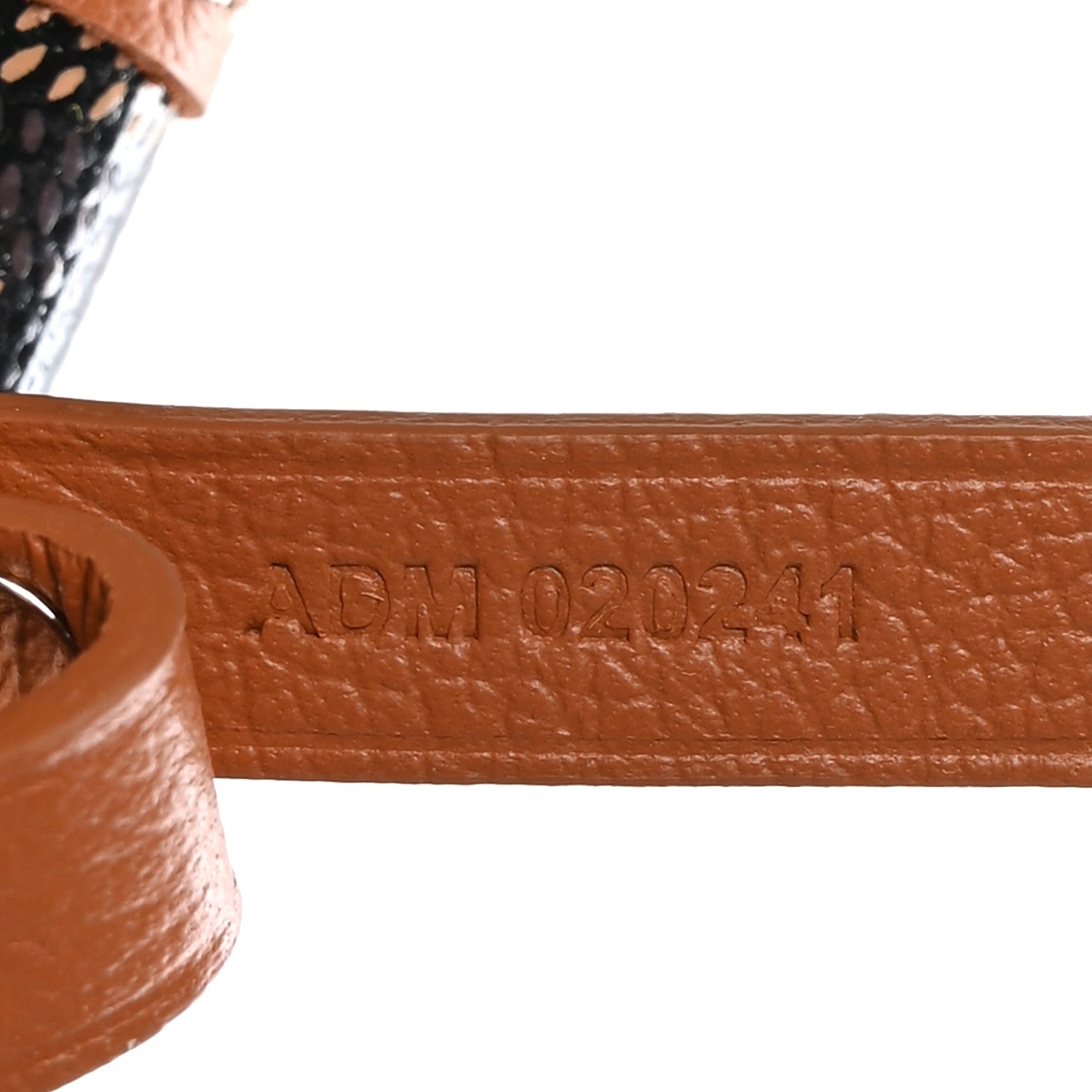 Goyard Goyardine Saint Louis PM Black Gold 8 of 11