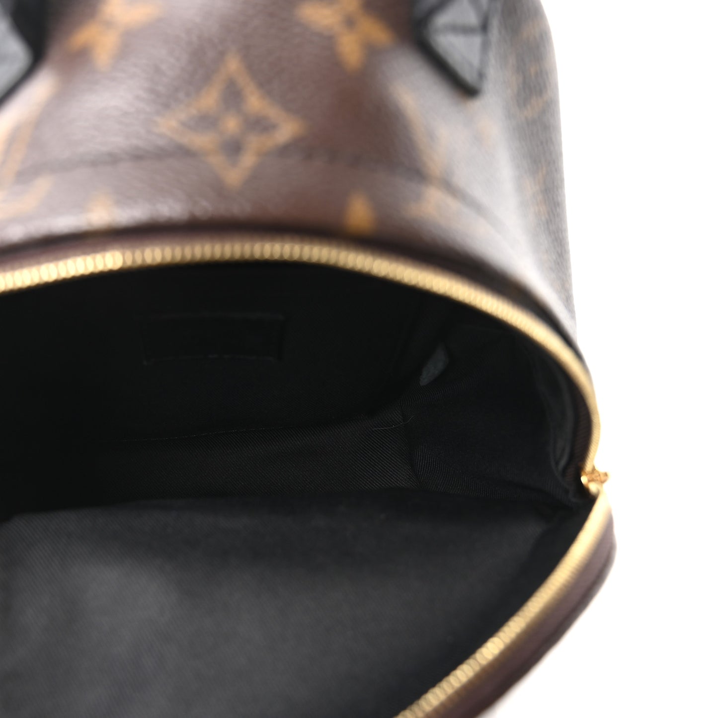 Monogram Palm Springs Backpack Mini