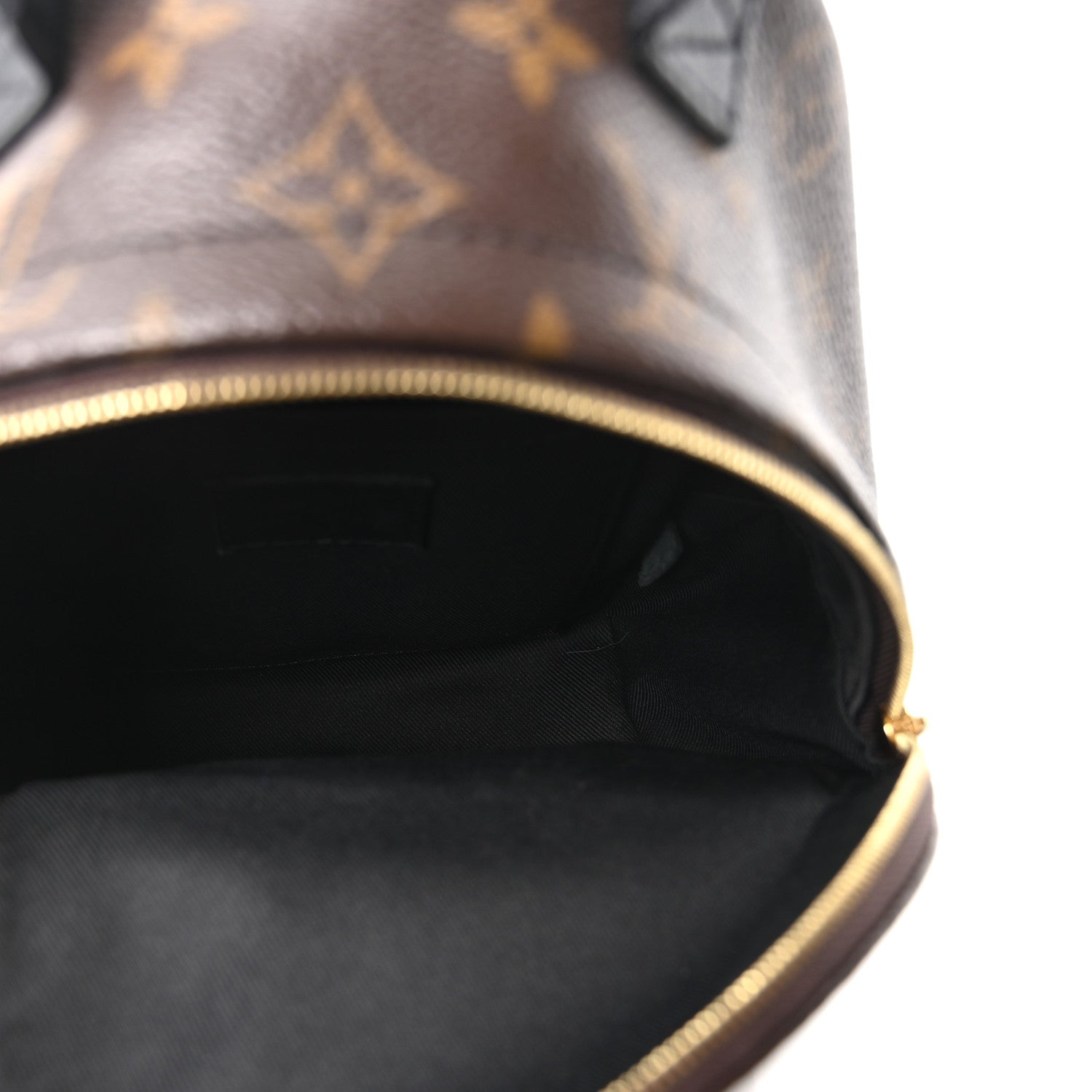 Louis Vuitton Monogram Palm Springs Backpack Mini 4 of 7