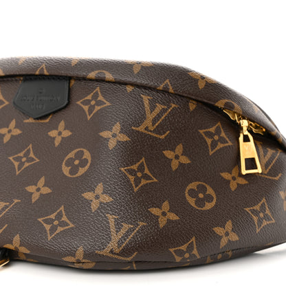Louis Vuitton Monogram My LV World Tour Bumbag 10 of 11