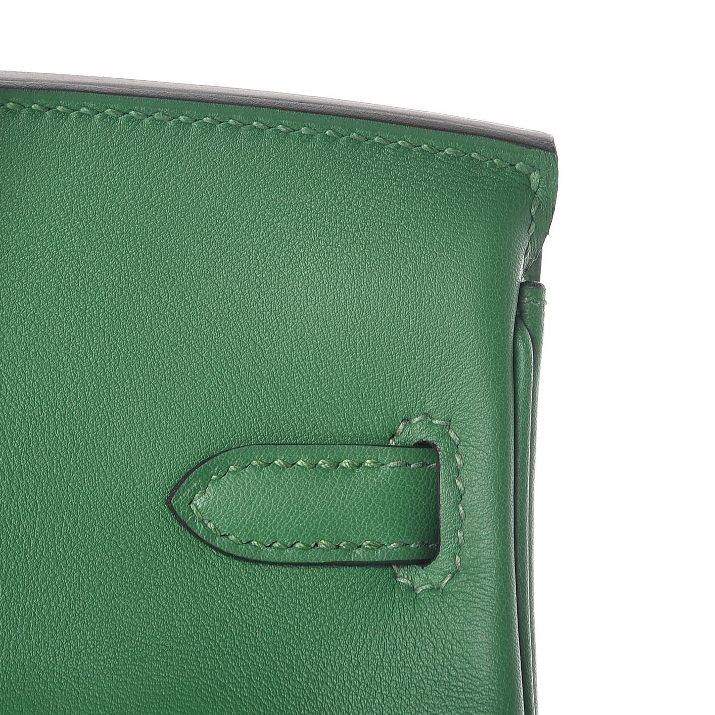 Swift Birkin 25 Cactus