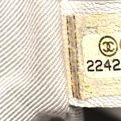 Chanel Iridescent Calfskin Chevron Quilted Small Urban Spirit Backpack Silver 7 of 11