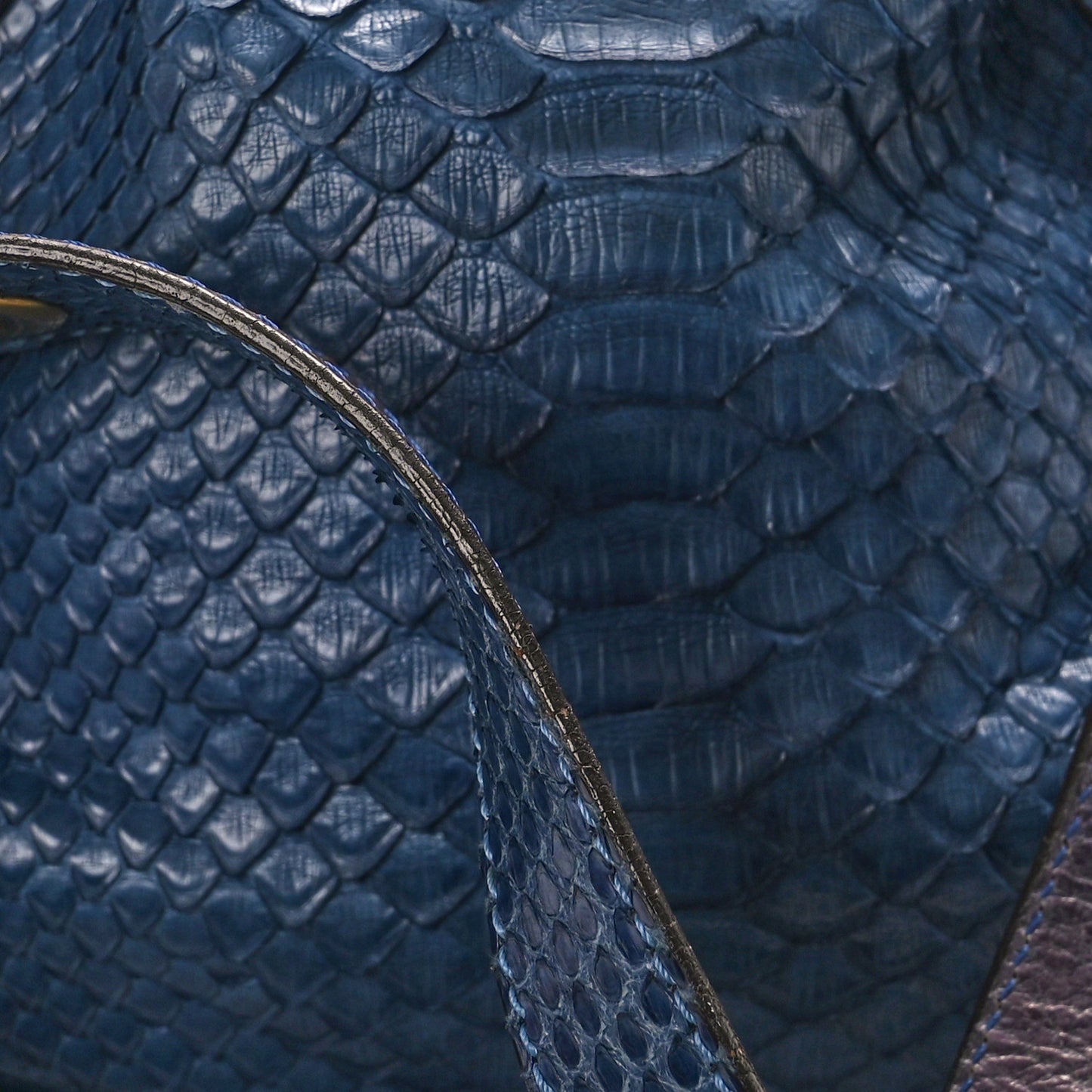 Snakeskin Medium Paraty Navy