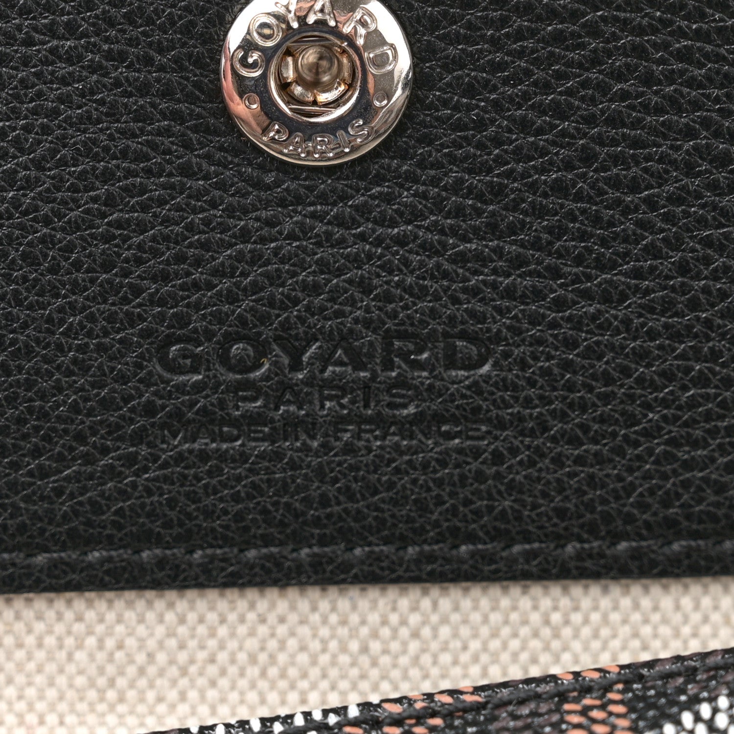 Goyard Goyardine Saint Louis PM Black 7 of 13