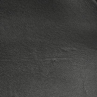 Celine Shiny Calfskin Teen Besace Black 12 of 13