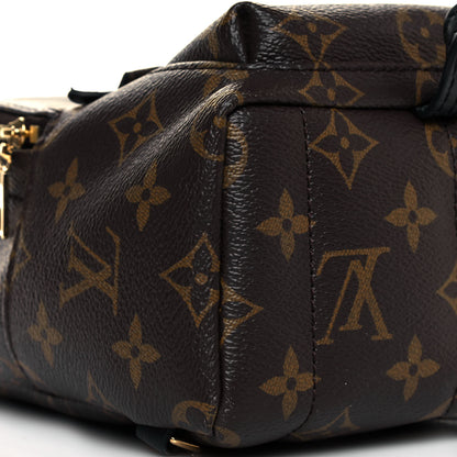 Louis Vuitton Monogram Palm Springs Backpack Mini 7 of 13