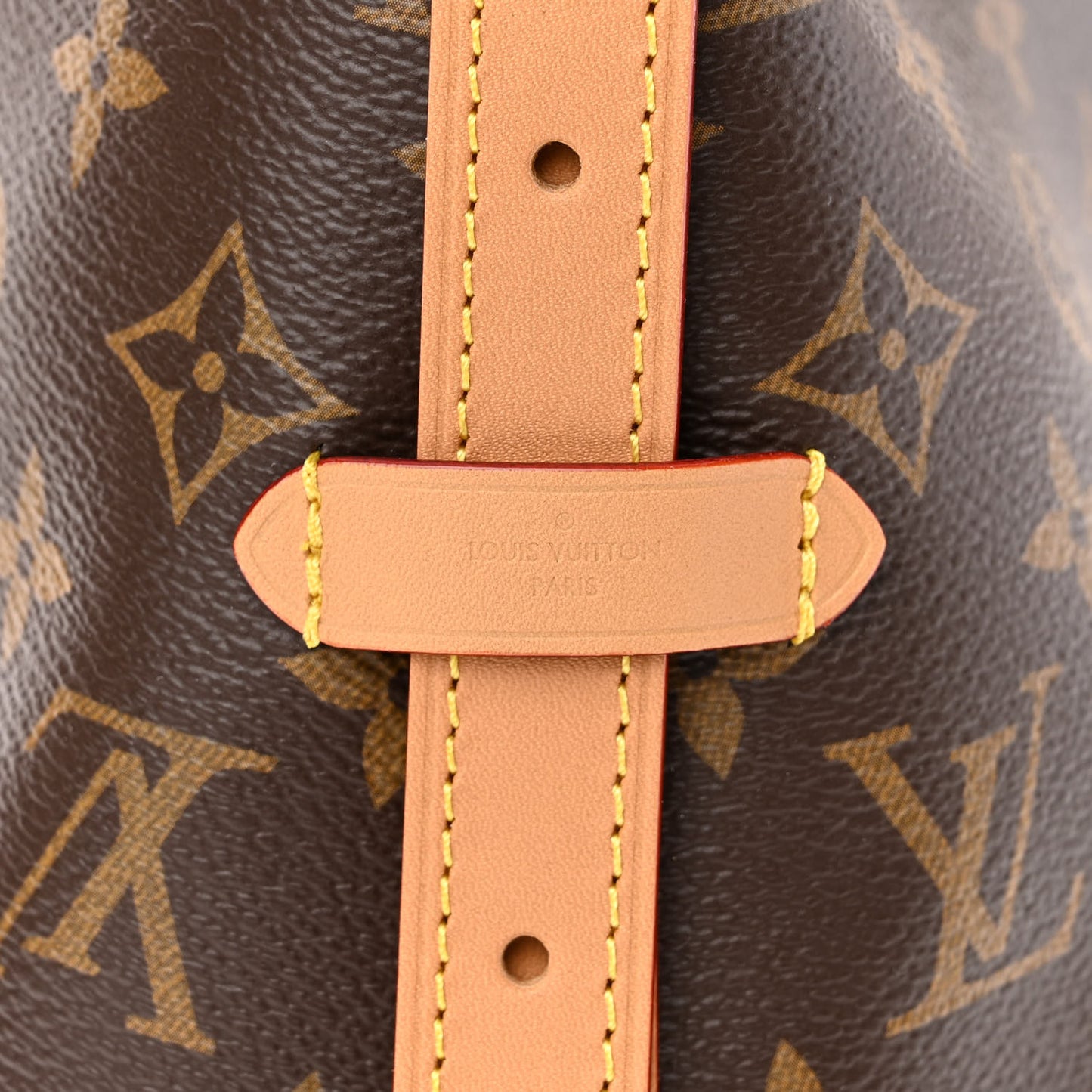 Monogram CarryAll PM