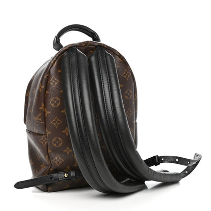 Louis Vuitton Monogram Palm Springs Backpack PM 3 of 11