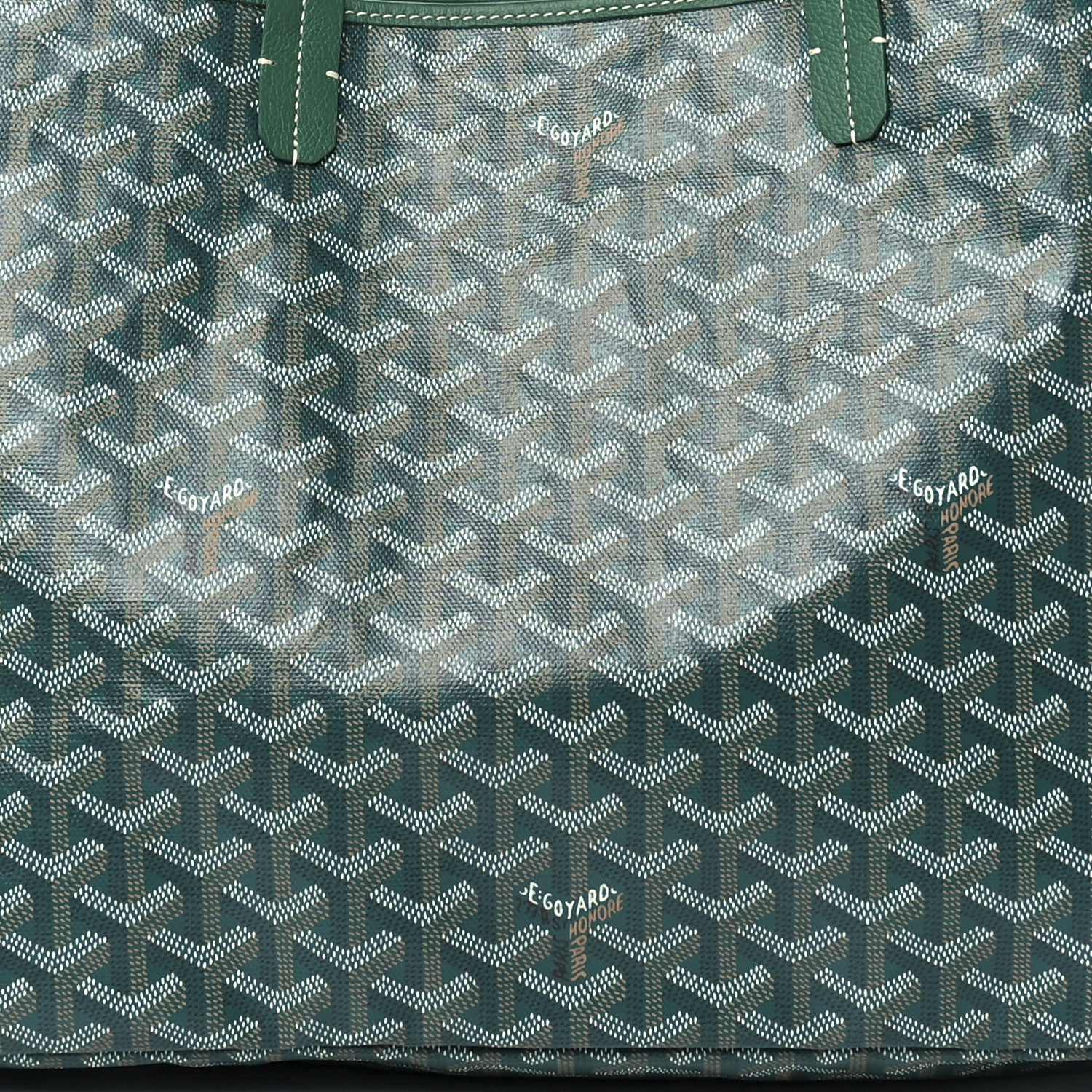 Goyard Goyardine Saint Louis PM Green 9 of 12