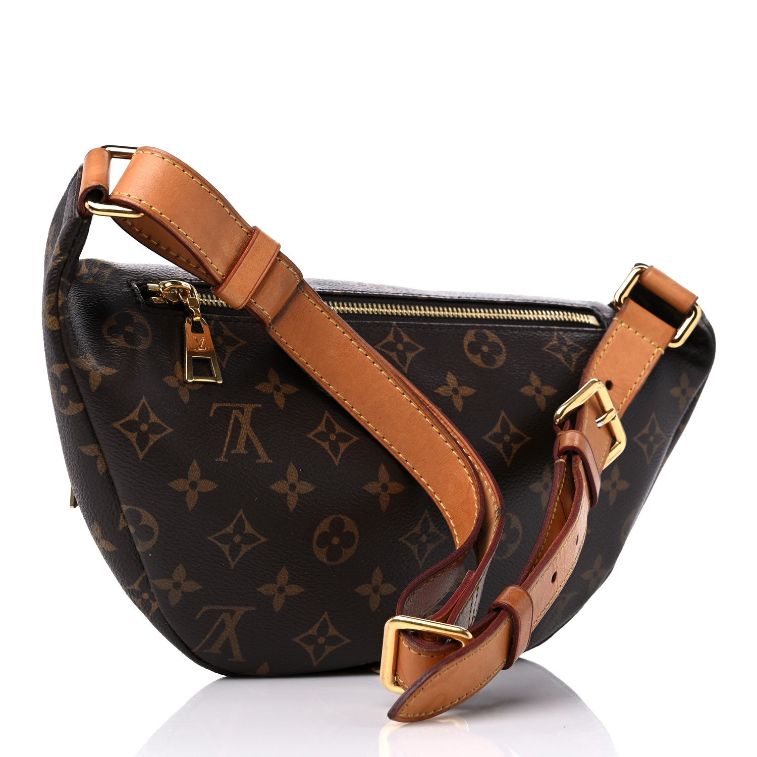 Louis Vuitton Monogram Bumbag 3 of 15