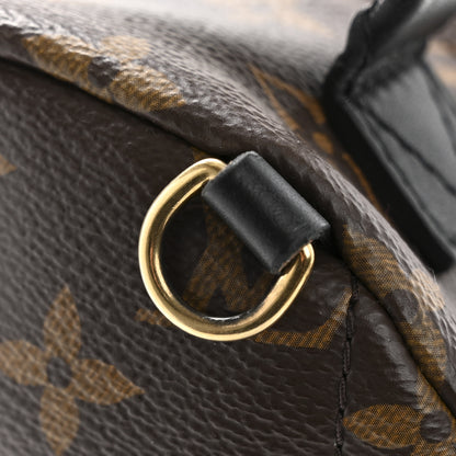 Louis Vuitton Monogram Palm Springs Backpack Mini 13 of 14
