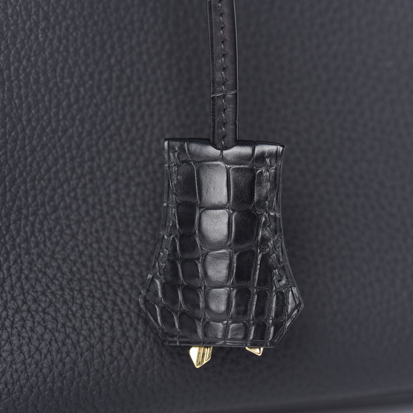 Togo Matte Alligator Birkin Touch 25 Black