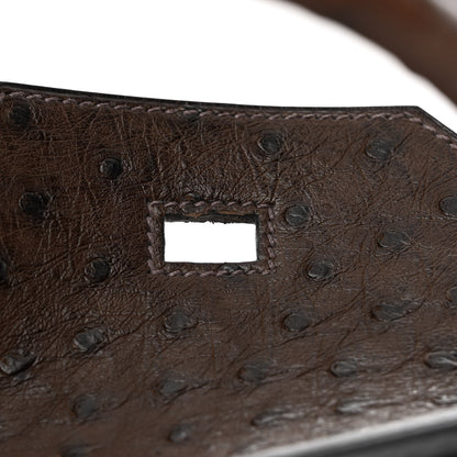 Hermes Ostrich Birkin 30 Chocolate 16 of 16