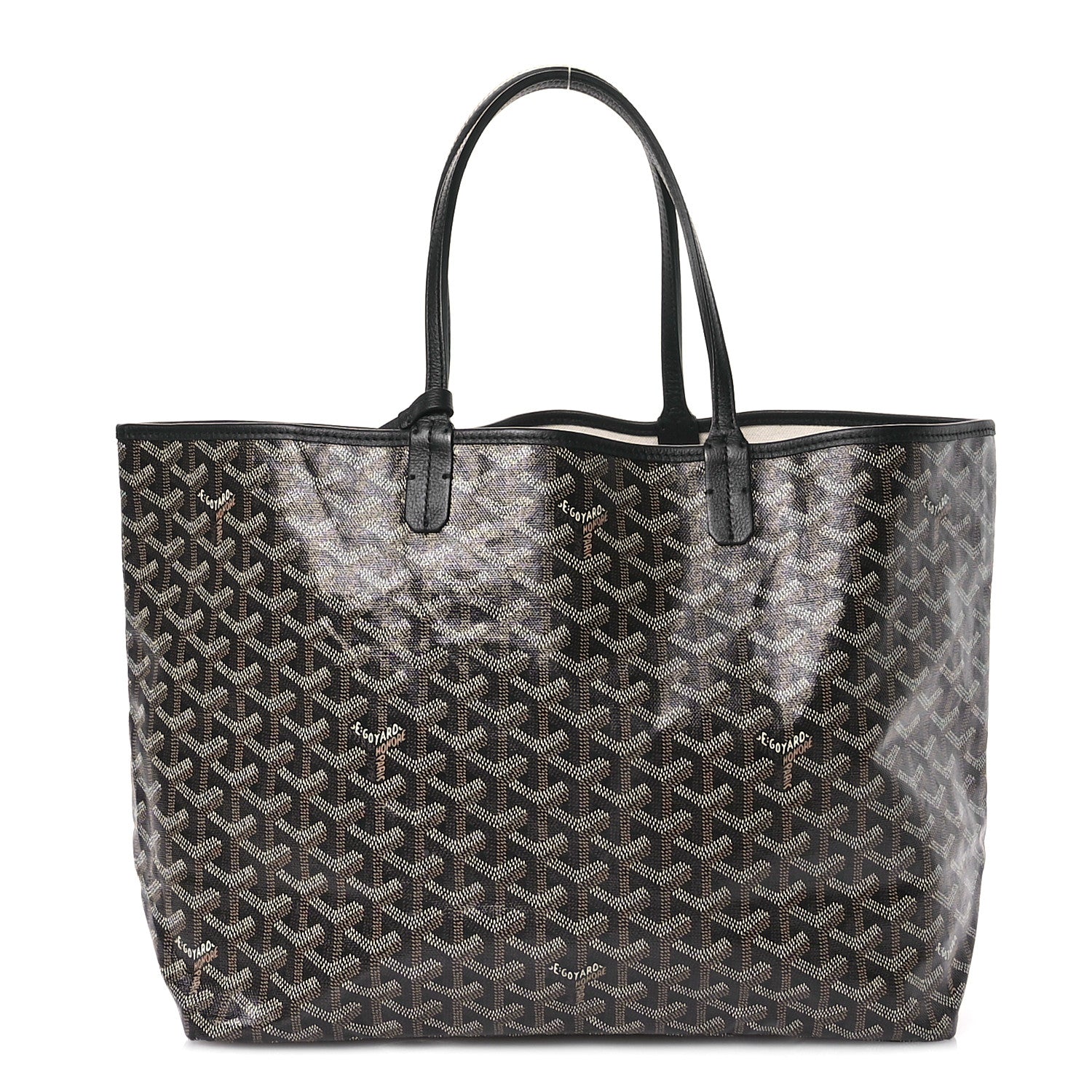 Goyard Goyardine Saint Louis PM Black 1 of 10