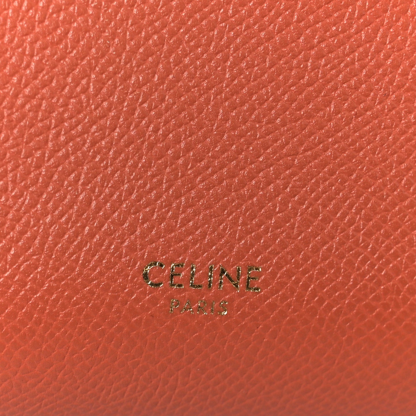 Grained Calfskin Nano Belt Bag Terracotta