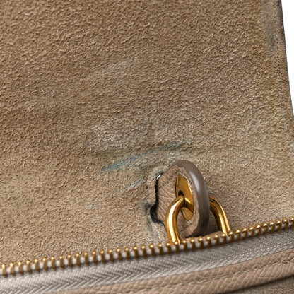 Celine Grained Calfskin Mini Belt Bag Light Taupe 12 of 23