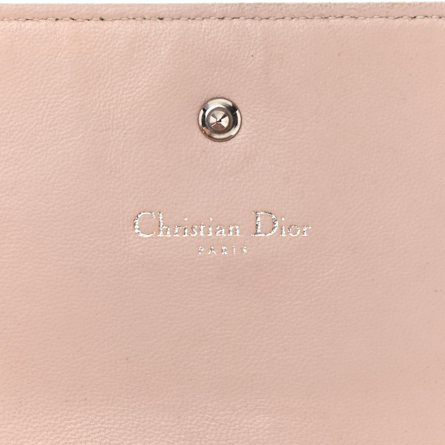 Grained Calfskin Diorama Wallet on Chain Pouch Nude