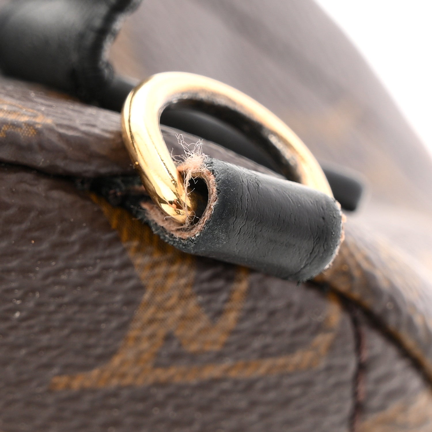 Louis Vuitton Monogram Palm Springs Backpack Mini 11 of 14