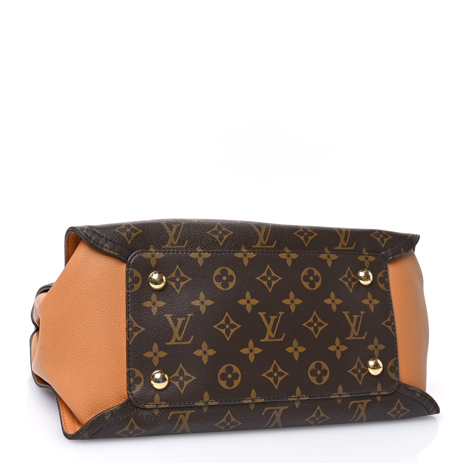 Louis Vuitton Monogram Gaia Epice 4 of 11