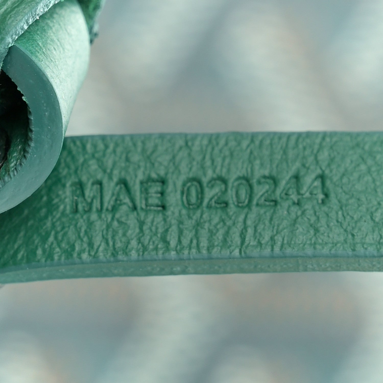 Goyard Goyardine Saint Louis PM Green 8 of 11