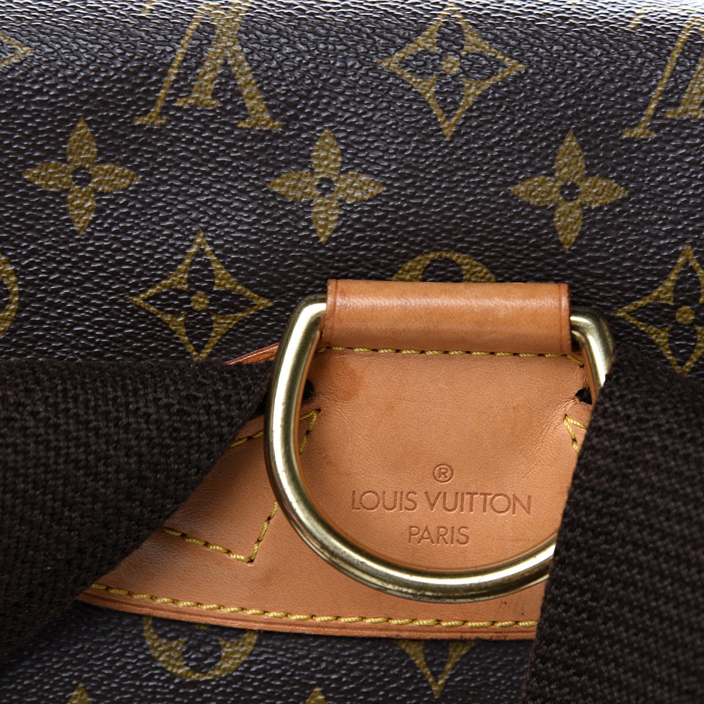 Monogram Montsouris GM Backpack