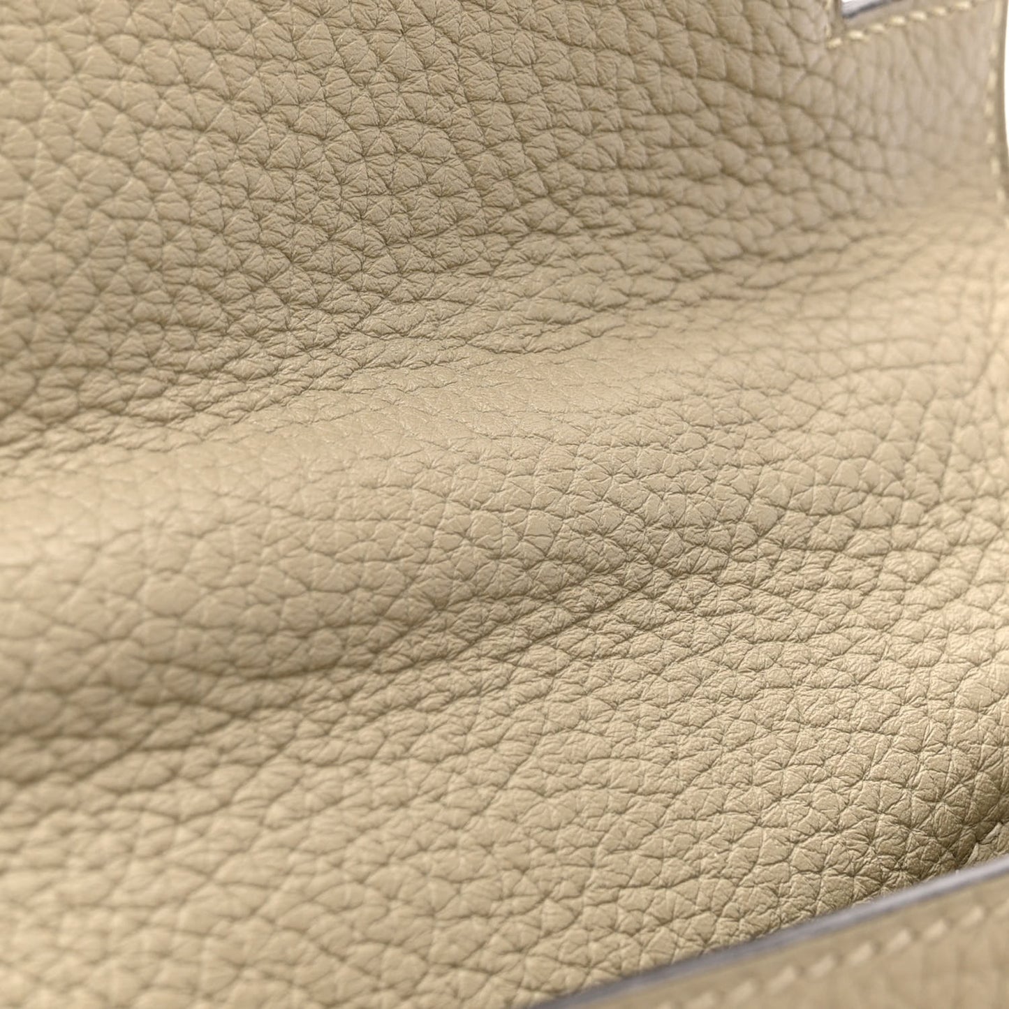 Taurillon Clemence Kelly Retourne 28 Sauge