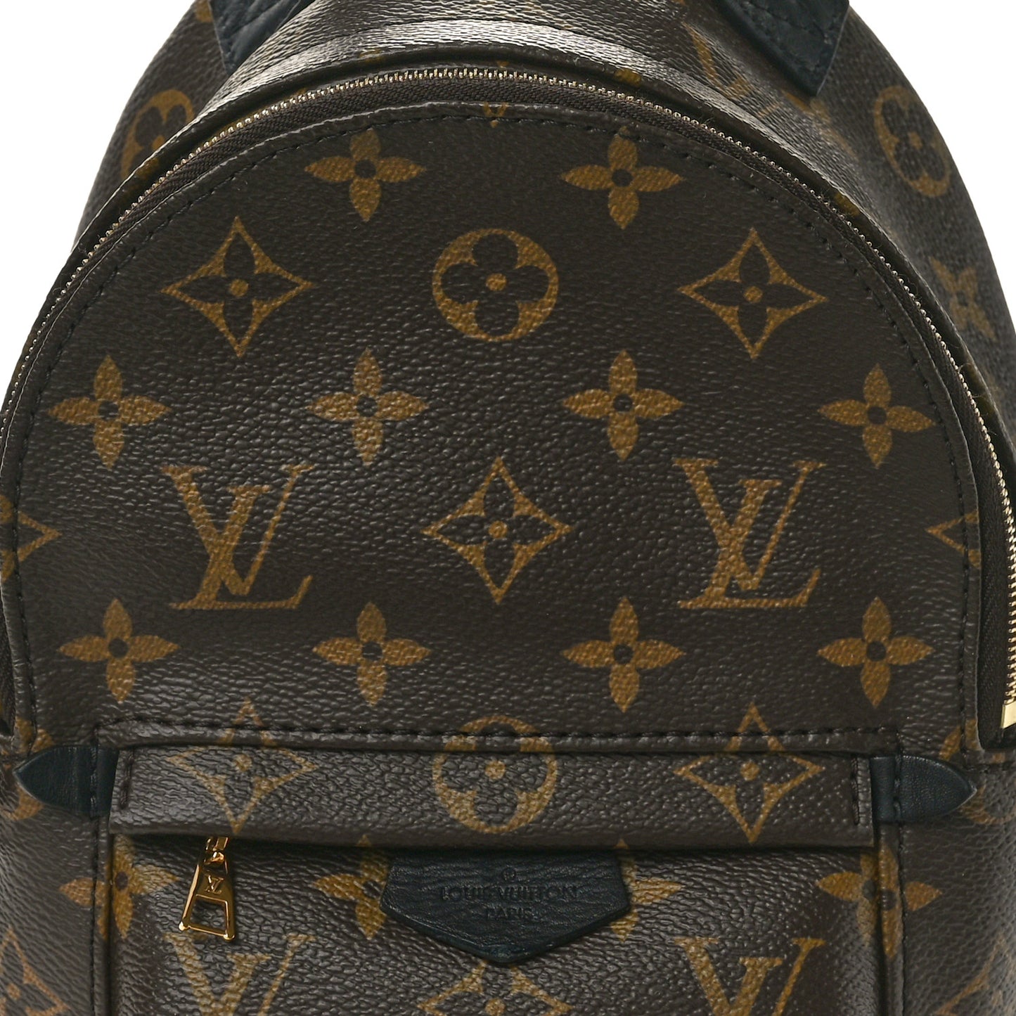 Monogram Palm Springs Backpack Mini