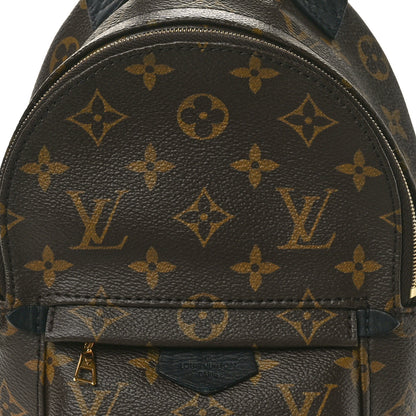 Louis Vuitton Monogram Palm Springs Backpack Mini 7 of 10