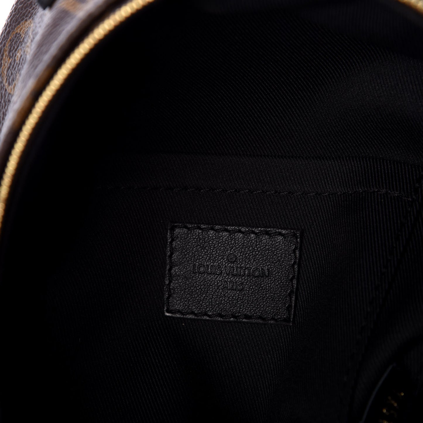 Monogram Palm Springs Backpack Mini