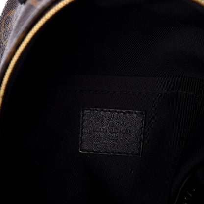Louis Vuitton Monogram Palm Springs Backpack Mini 5 of 9