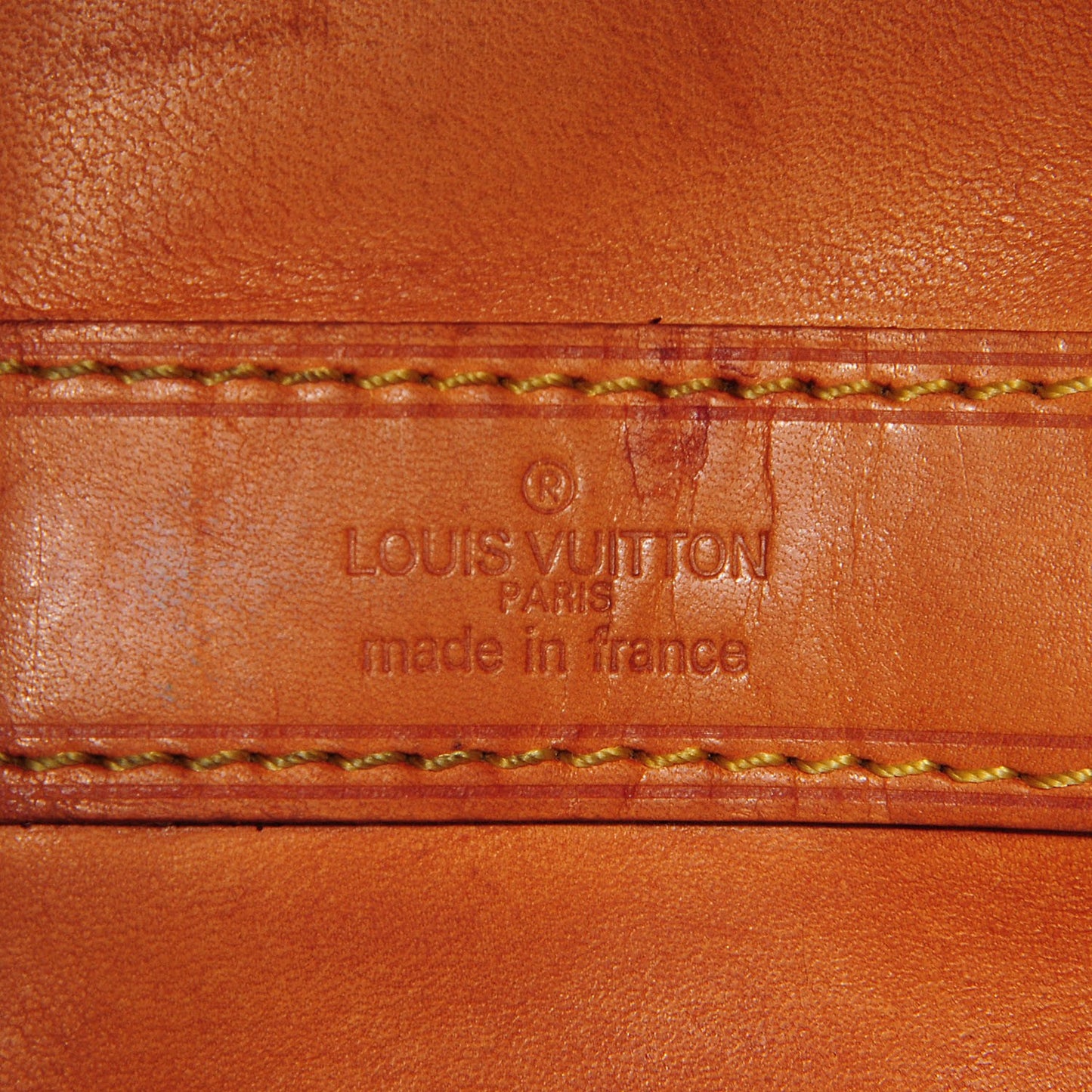 Monogram Randonnee GM Backpack