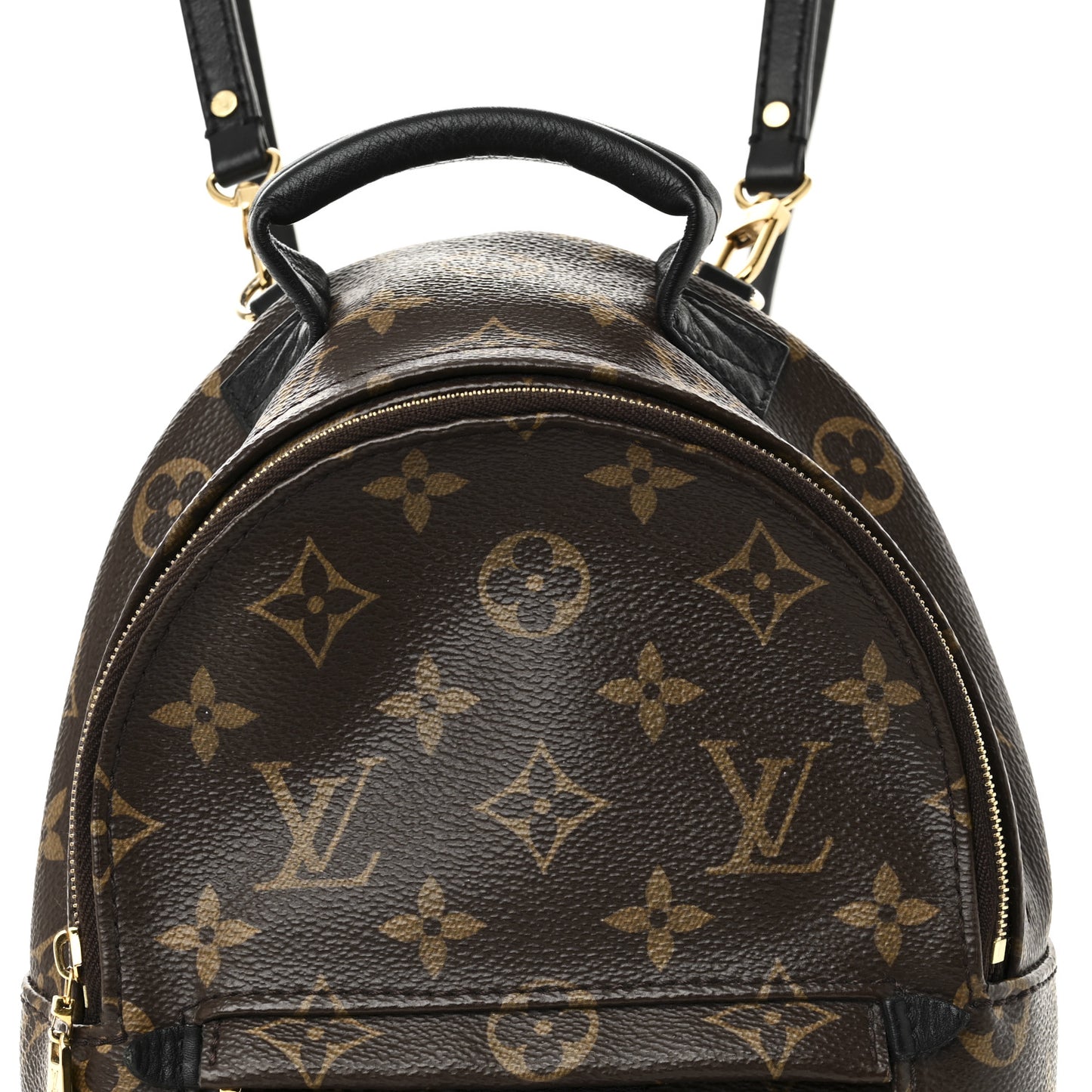 Monogram Palm Springs Backpack Mini