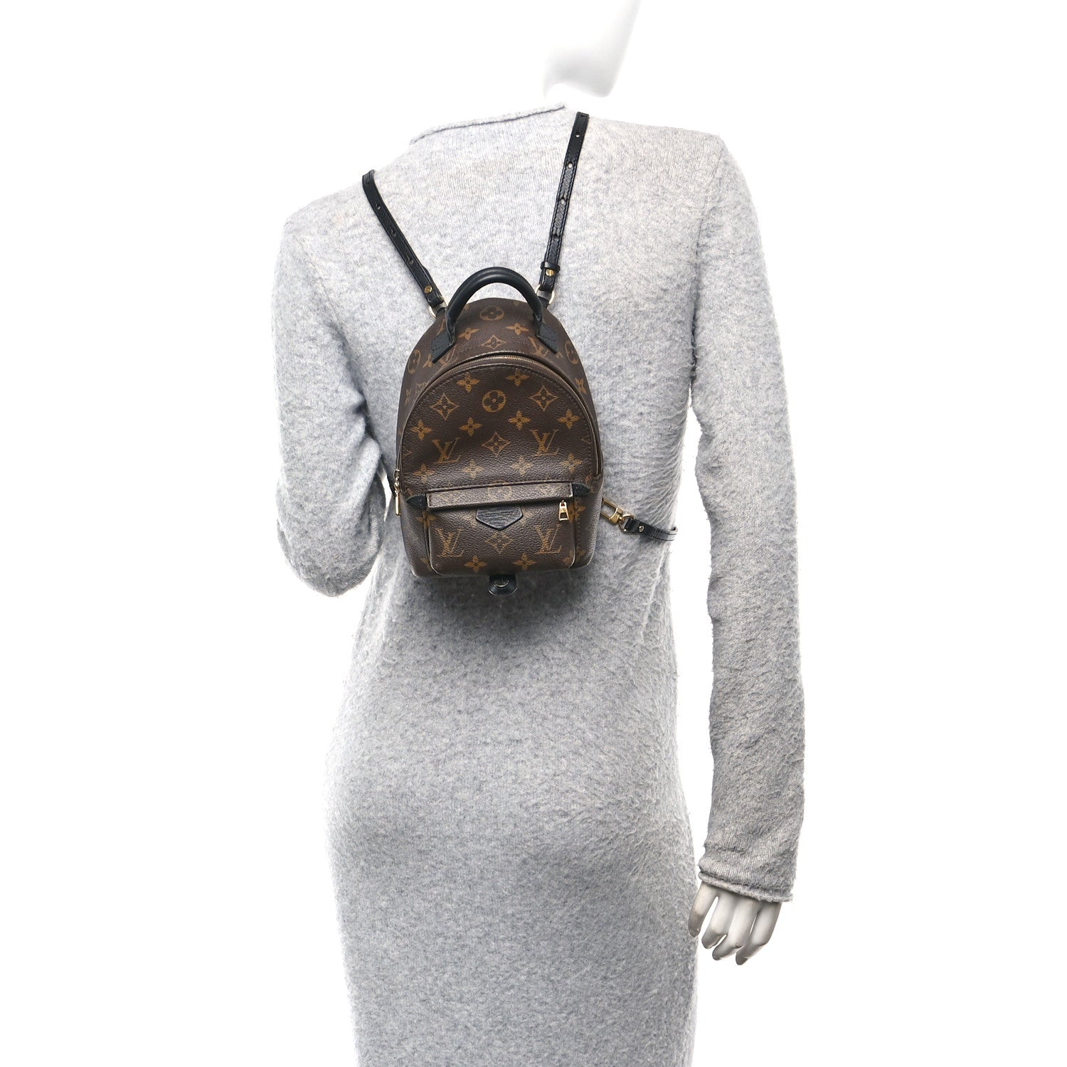 Louis Vuitton Monogram Palm Springs Backpack Mini 3 of 23