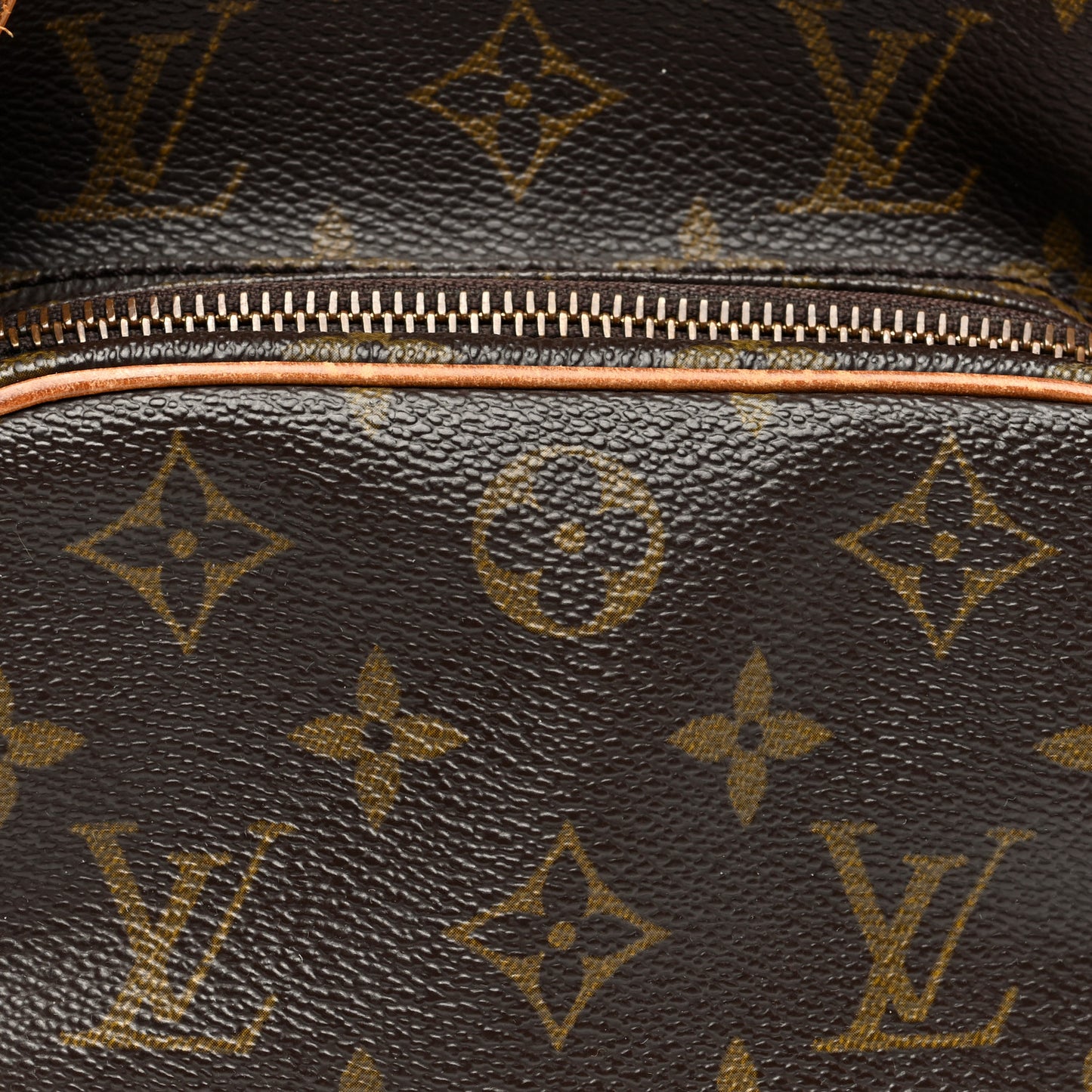Monogram Amazone