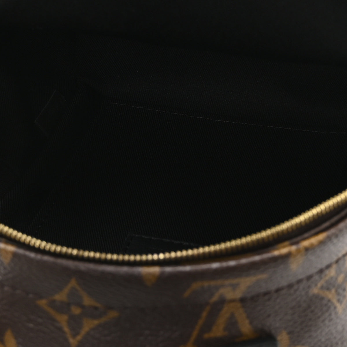 Louis Vuitton Monogram Palm Springs Backpack Mini 5 of 10