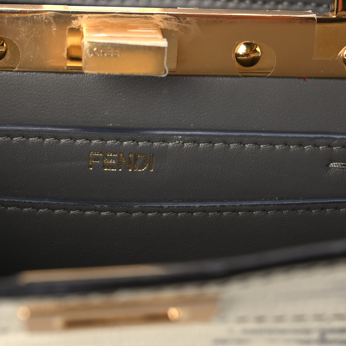 Fendi Lizard Togo Lucido Petite Peekaboo I SEE U Satchel Roccia 8 of 12