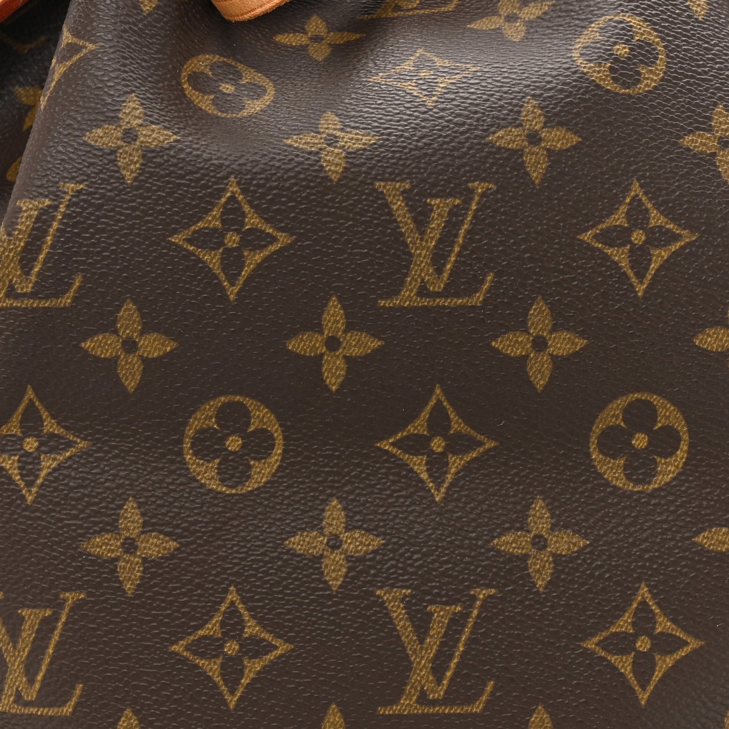 Monogram Petit Noe