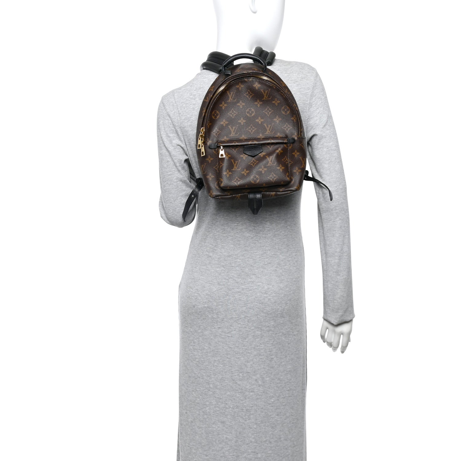 Louis Vuitton Monogram Palm Springs Backpack PM 2 of 12