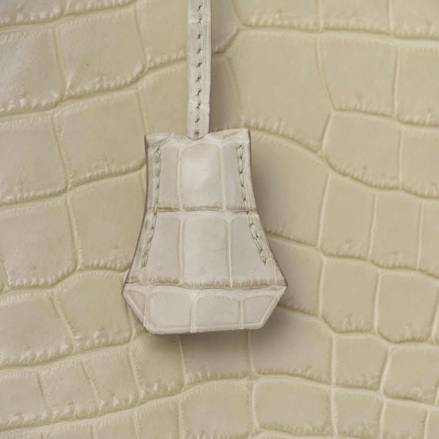 Hermes Matte Niloticus Crocodile Birkin 35 Beton 31 of 39