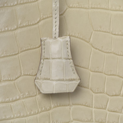 Hermes Matte Niloticus Crocodile Birkin 35 Beton 31 of 39