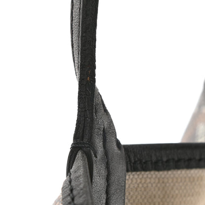 Goyard Goyardine Saint Louis PM Black 14 of 17