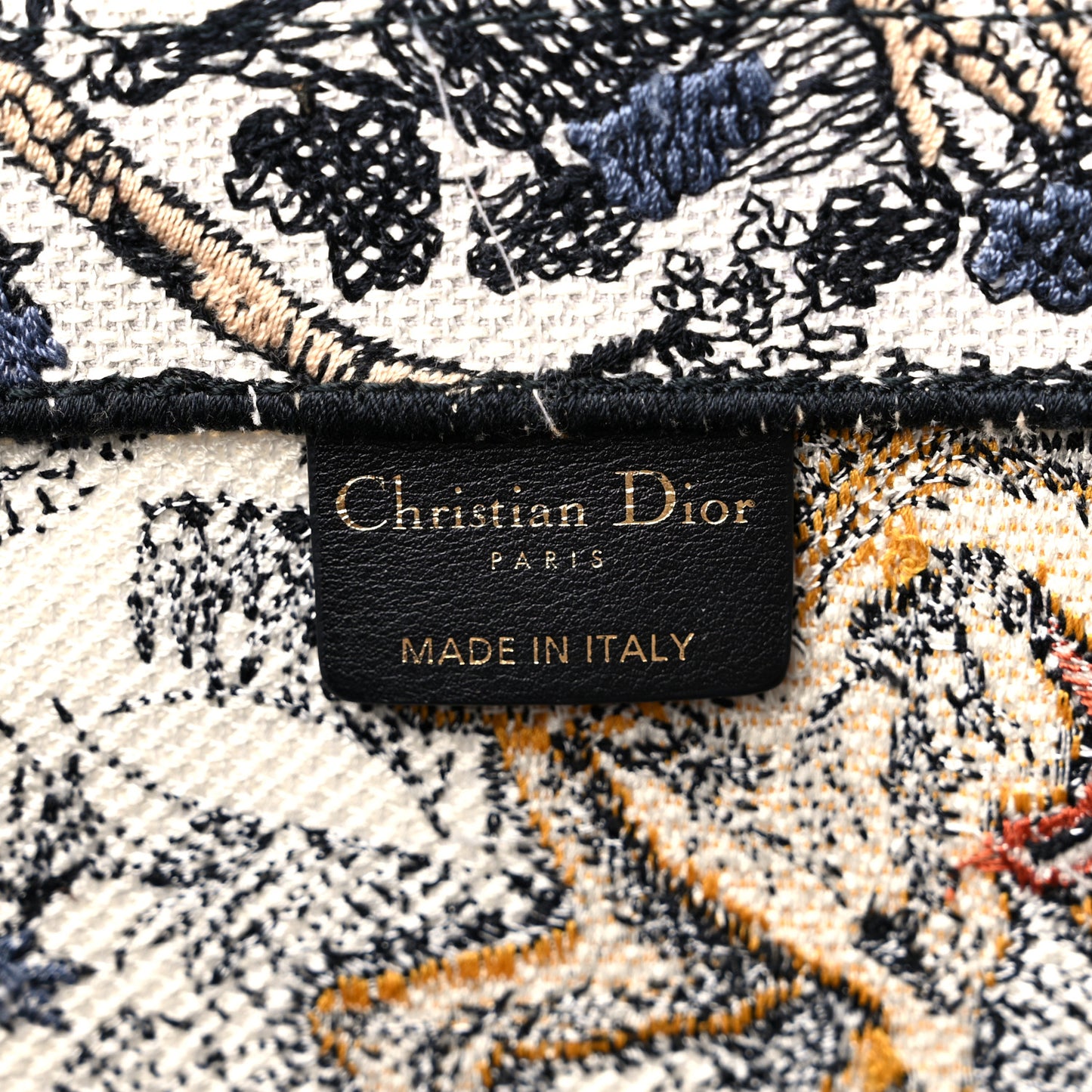Canvas Embroidered Large Dioriviera Toile De Jouy Book Tote Multicolor