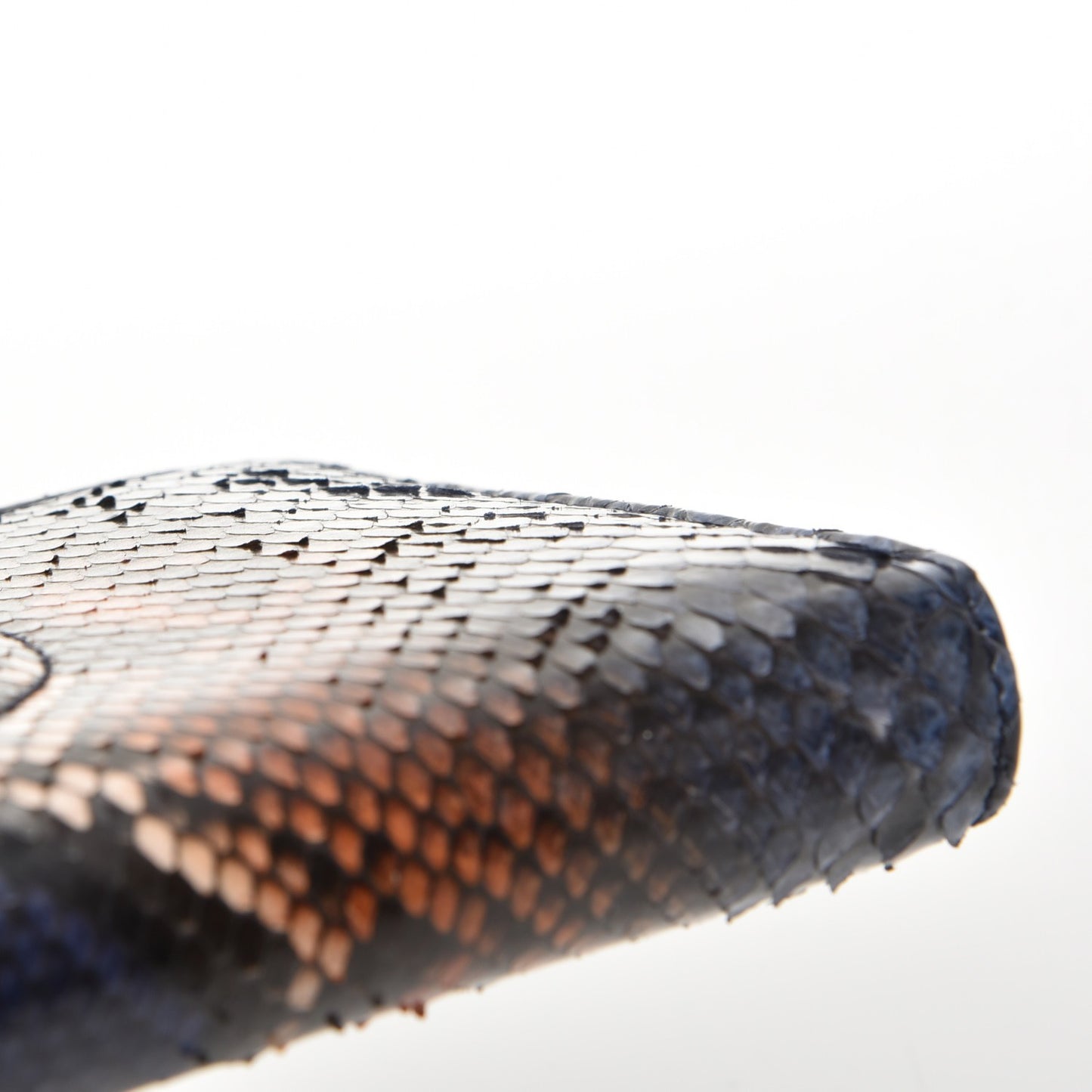 Python Soho Zip Around Wallet Blue Sienna