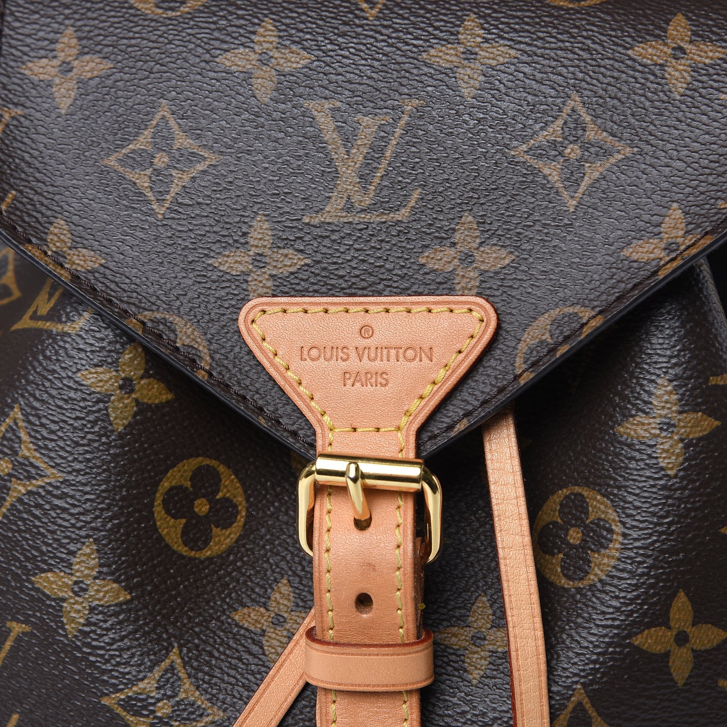Monogram Montsouris NM Backpack