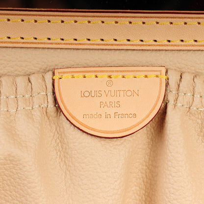Louis Vuitton Monogram Nice 6 of 6