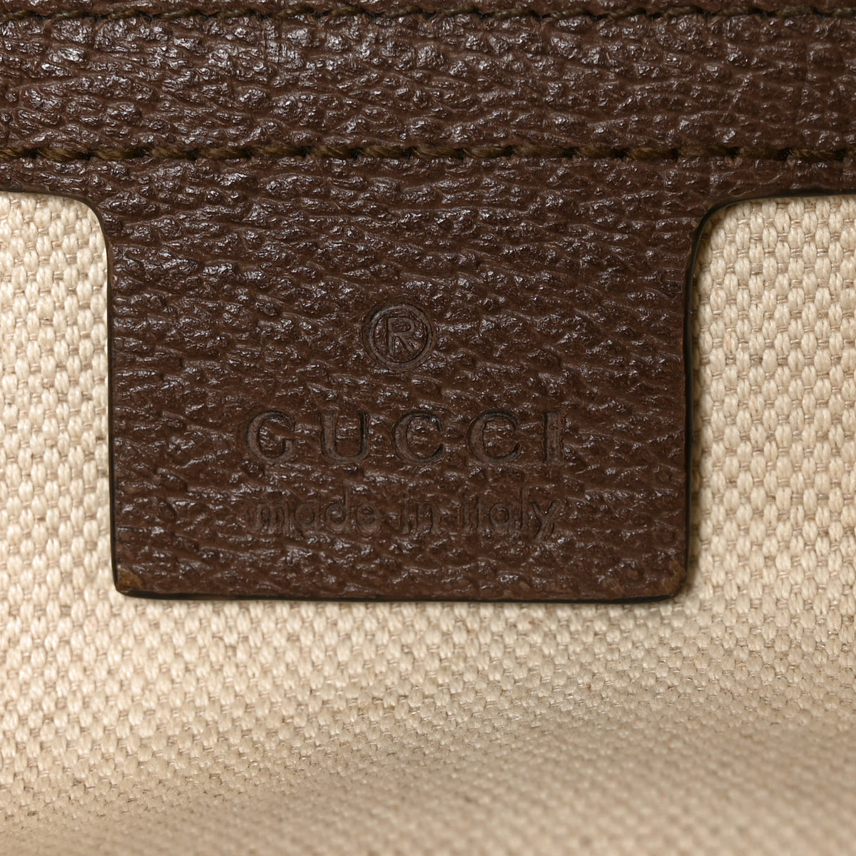 GG Supreme Monogram Web Small Ophidia Half Moon Hobo Brown