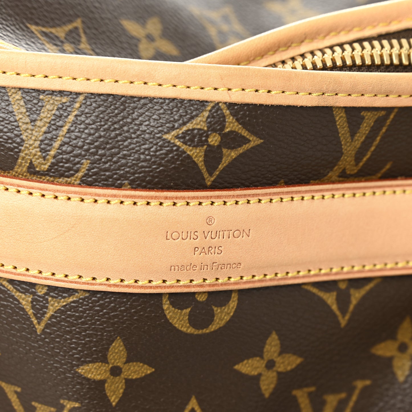 Monogram Dog Carrier 50