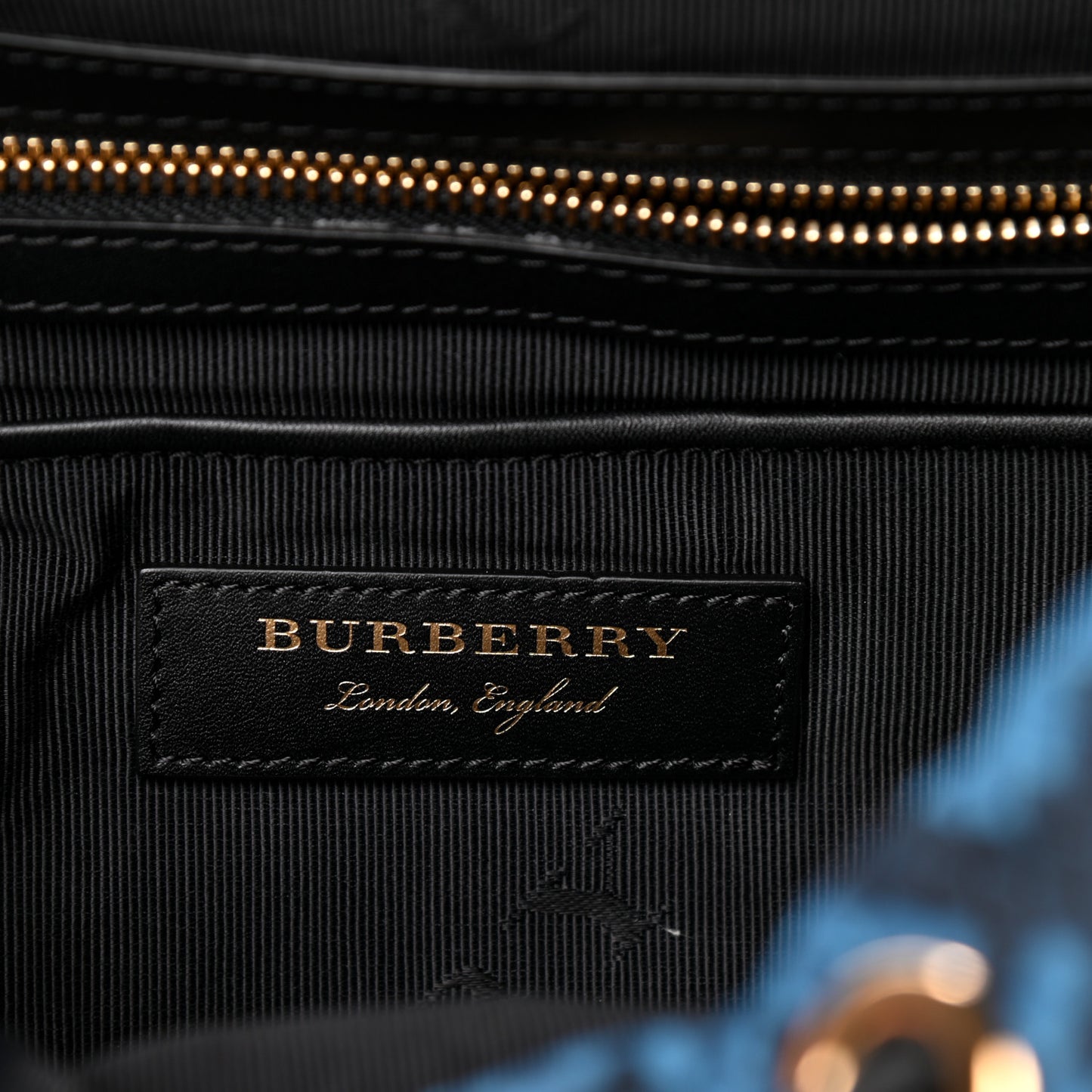 Nylon Python Print Medium Rucksack Backpack Blue